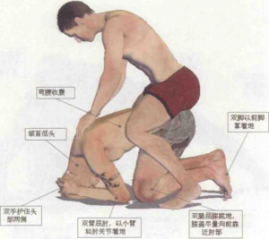 图片11