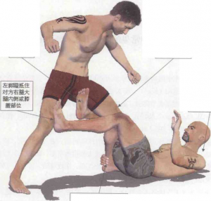 图片13