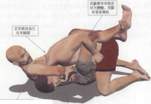 图片15