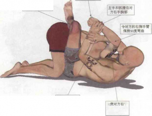 图片16