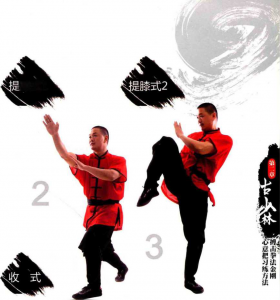图片21