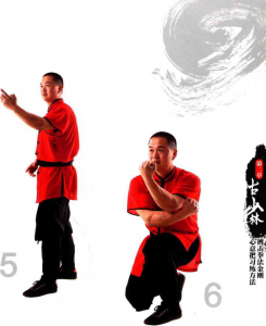 图片33