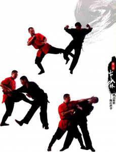 图片36