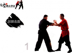 图片41