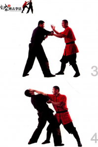 图片55