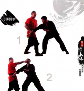 图片61