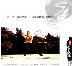图片92