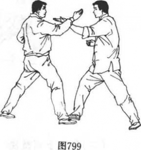 图片7