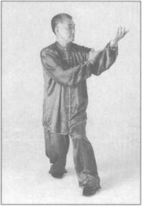 图片17