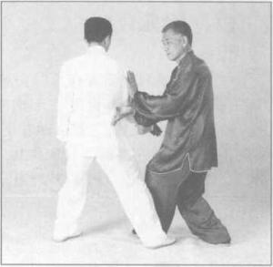 图片30