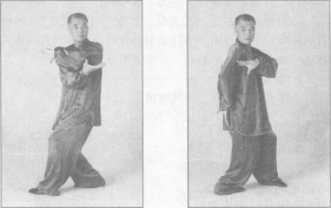图片44