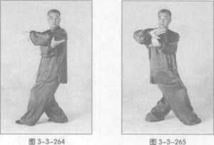 图片51