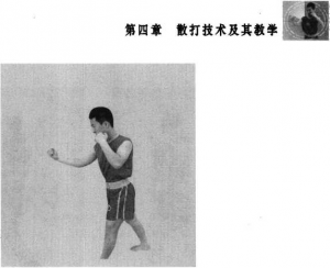 图片48