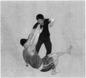 图片94