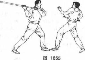 图片95
