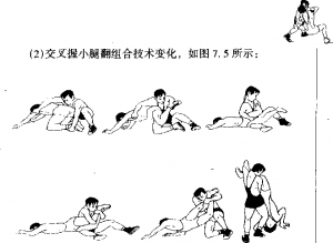 图片5