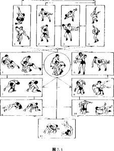 图片1