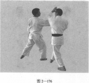 图片135