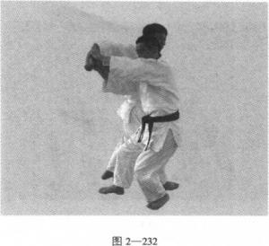 图片184