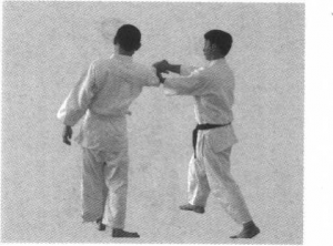 图片198