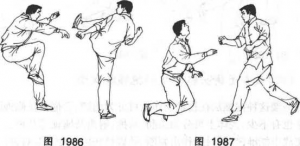 图片56