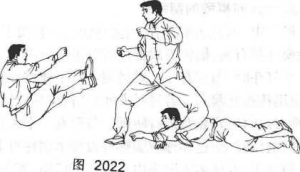 图片11