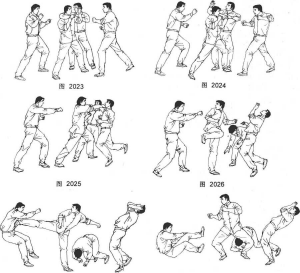 图片12