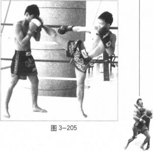 图片98