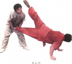 图片105