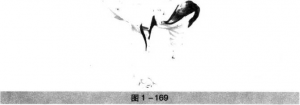 图片12
