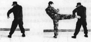 图片53