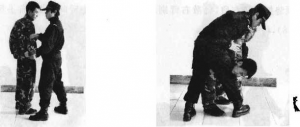 图片84