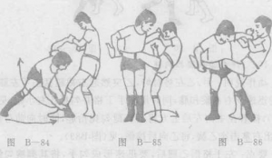 图片64