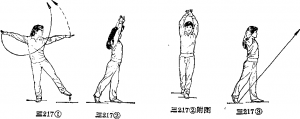 图片30