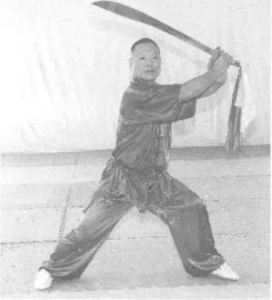 图片48