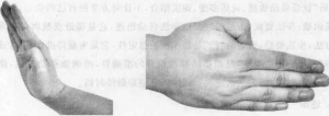 图片5