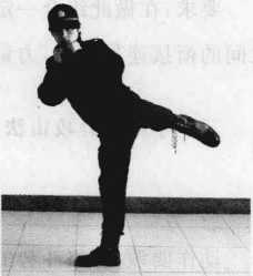 图片43