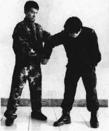 图片83