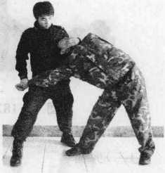 图片108