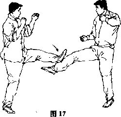 图片9