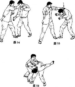 图片24