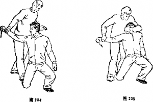 图片24