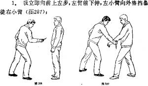 图片33