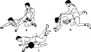 80