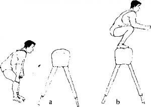 65
