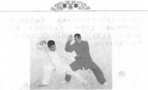 图片48