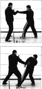 图片100