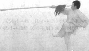 图片73