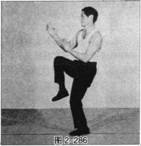 图片157