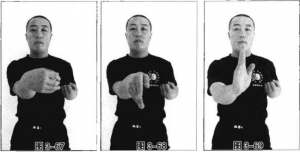 图片181